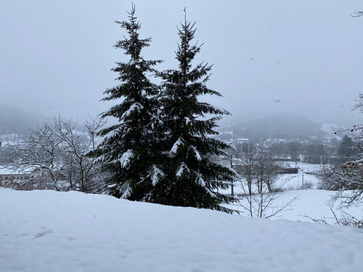 Ma Jolie Camyna Villa Ramonchamp Kültér fotó